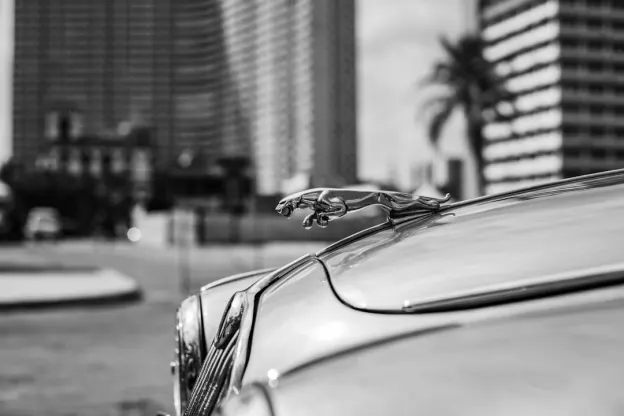 Kazūm Kazino Android/iOS Lietotne